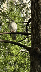 Similar image 22735104