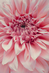 Similar image 22736410