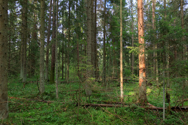 Similar image 22736420