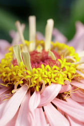 Similar image 22736424