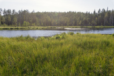 Similar image 22736438