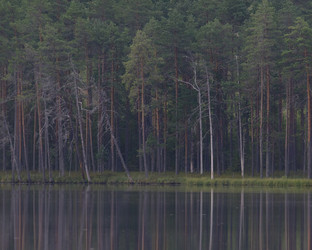 Similar image 22736448