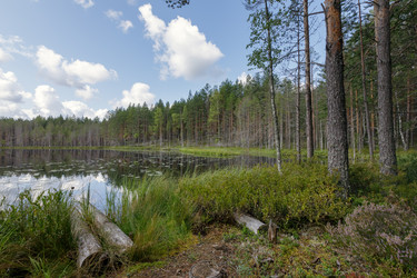 Similar image 22736459