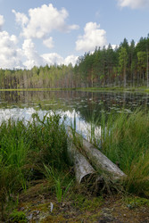 Similar image 22736465