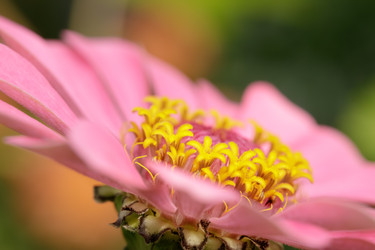 Similar image 22736491