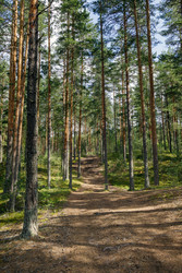 Similar image 22736140