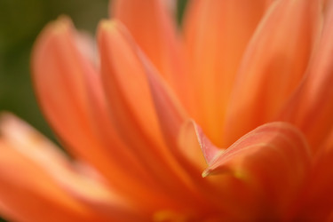Similar image 22736144