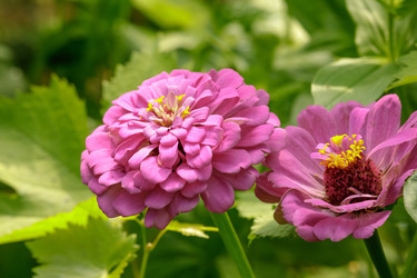 Similar image 22736155