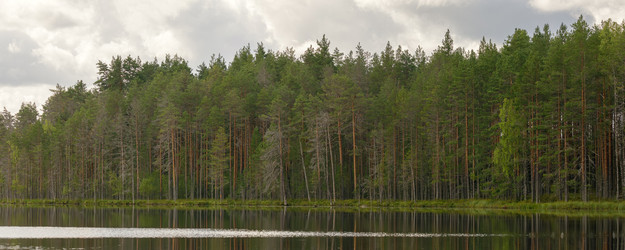 Similar image 22736206