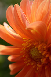 Similar image 22736218