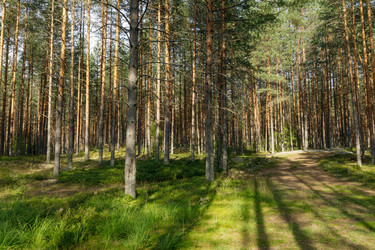 Similar image 22736248