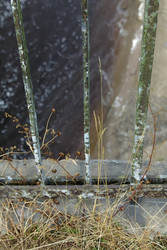 Similar image 22736251