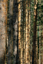 Similar image 22736266