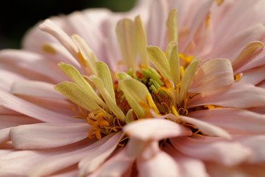 Similar image 22736281