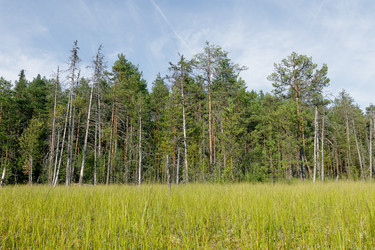 Similar image 22736291