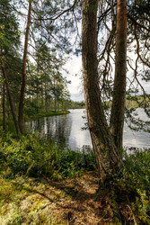 Similar image 22736307