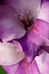 Similar image 22736322
