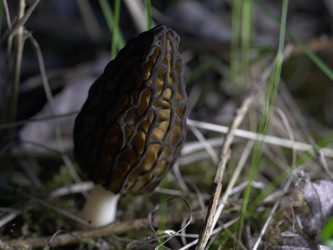 Similar image 22735290