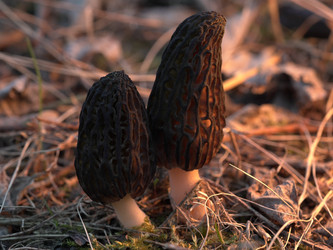 Similar image 22735306
