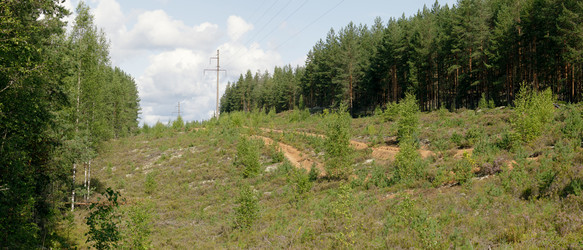 Similar image 22736346