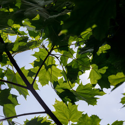 Similar image 22736347