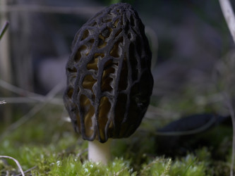Similar image 22735320