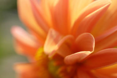 Similar image 22736366