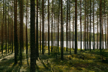 Similar image 22736382