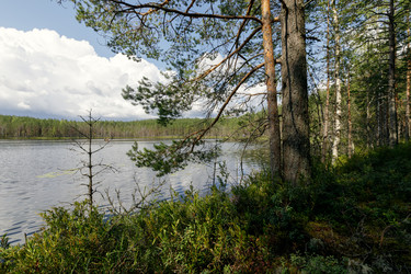Similar image 22736386