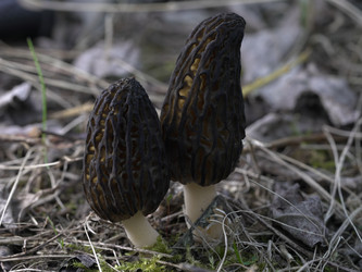 Similar image 22735350