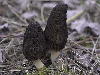 Similar image 22735351