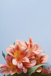 Similar image 22738643
