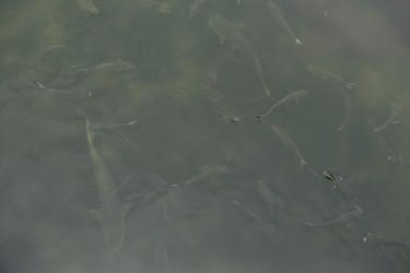 Similar image 22737954