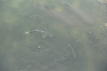 Similar image 22737969