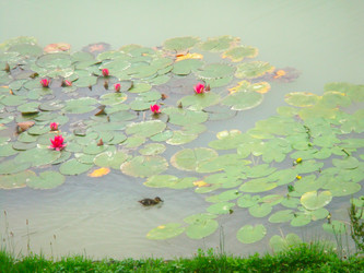 Similar image 22737972