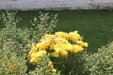 Similar image 22737973