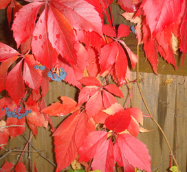 Similar image 22737991