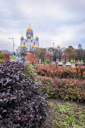 Similar image 22759498