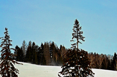 Similar image 22735051