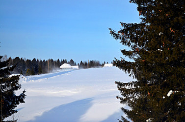 Similar image 22735053
