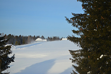 Similar image 22735059