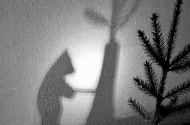 Similar image 22735061