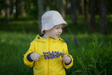 Similar image 22729715