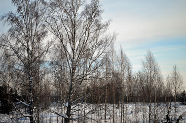 Similar image 22735076