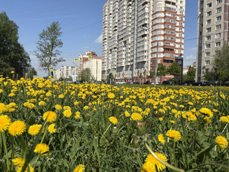 Similar image 22738373