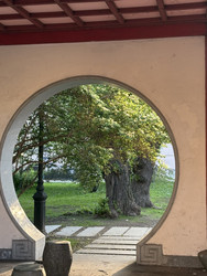 Similar image 22738375