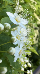 Similar image 22738376