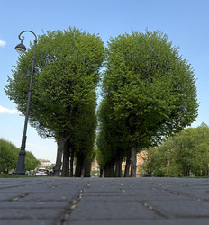 Similar image 22738302