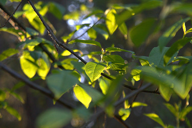 Similar image 22753902