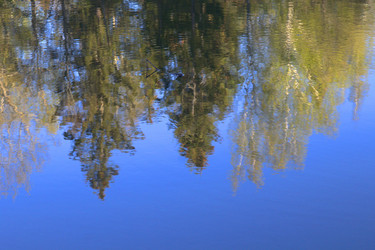 Similar image 22753903